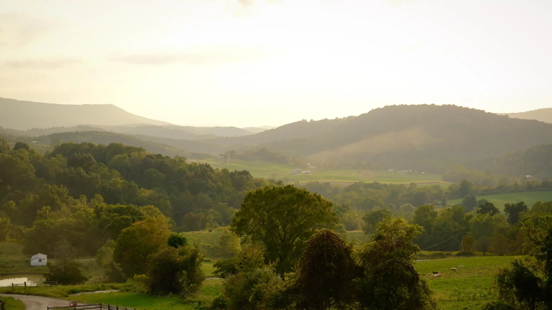 Surrounded by Southwest Virginia’s breathtaking beauty, our 150-acre family farm provides an authentic experience of country living.